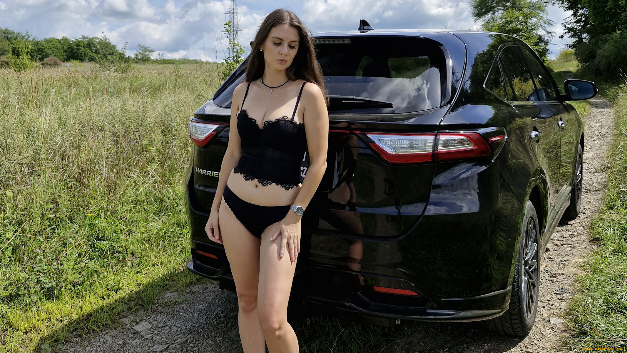 , -  , toyota, harrier